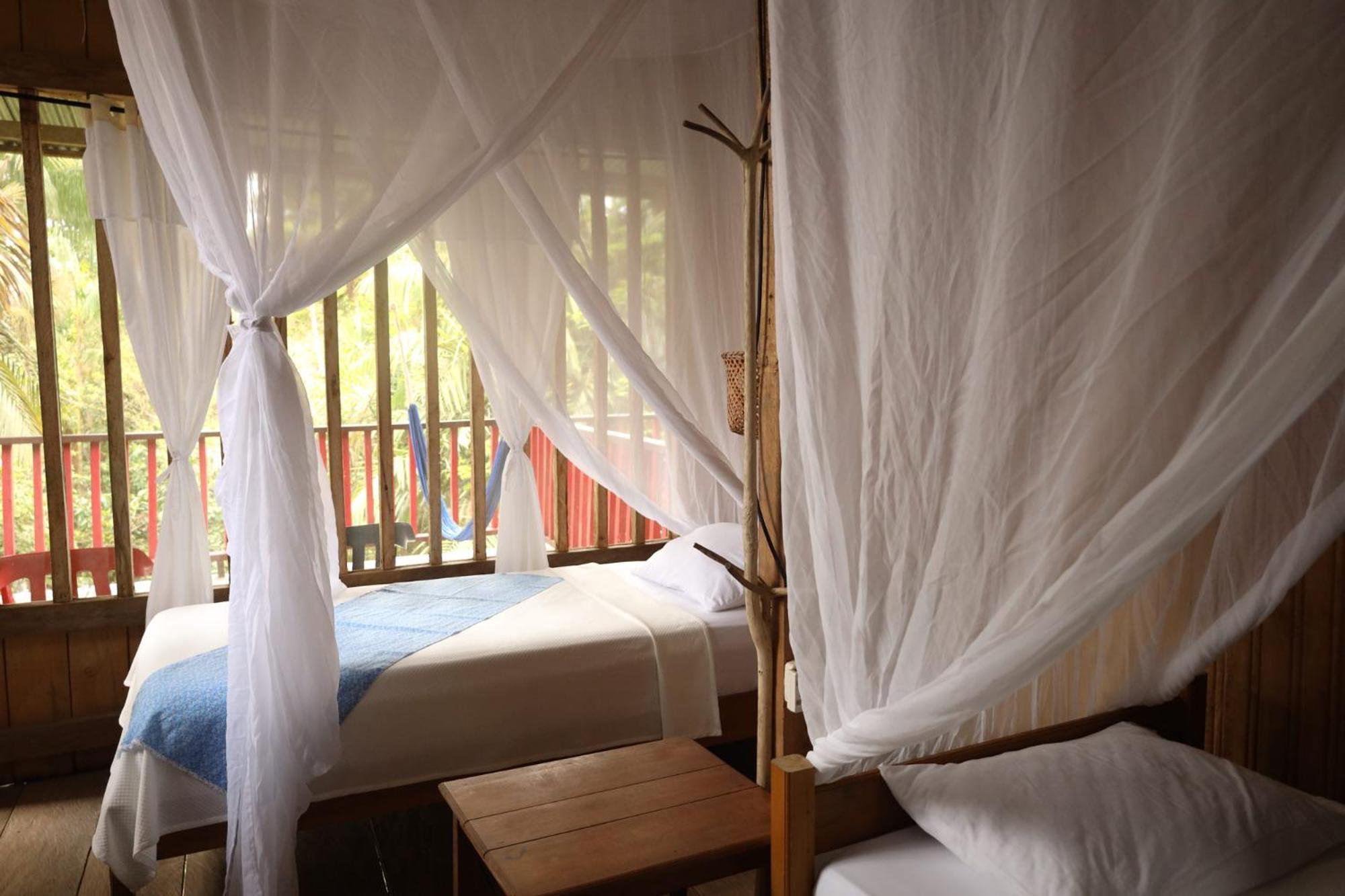 La Ceiba, Amazonas Hotel เลติเซีย ภายนอก รูปภาพ