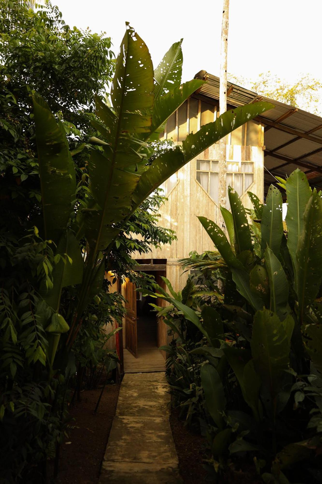 La Ceiba, Amazonas Hotel เลติเซีย ภายนอก รูปภาพ