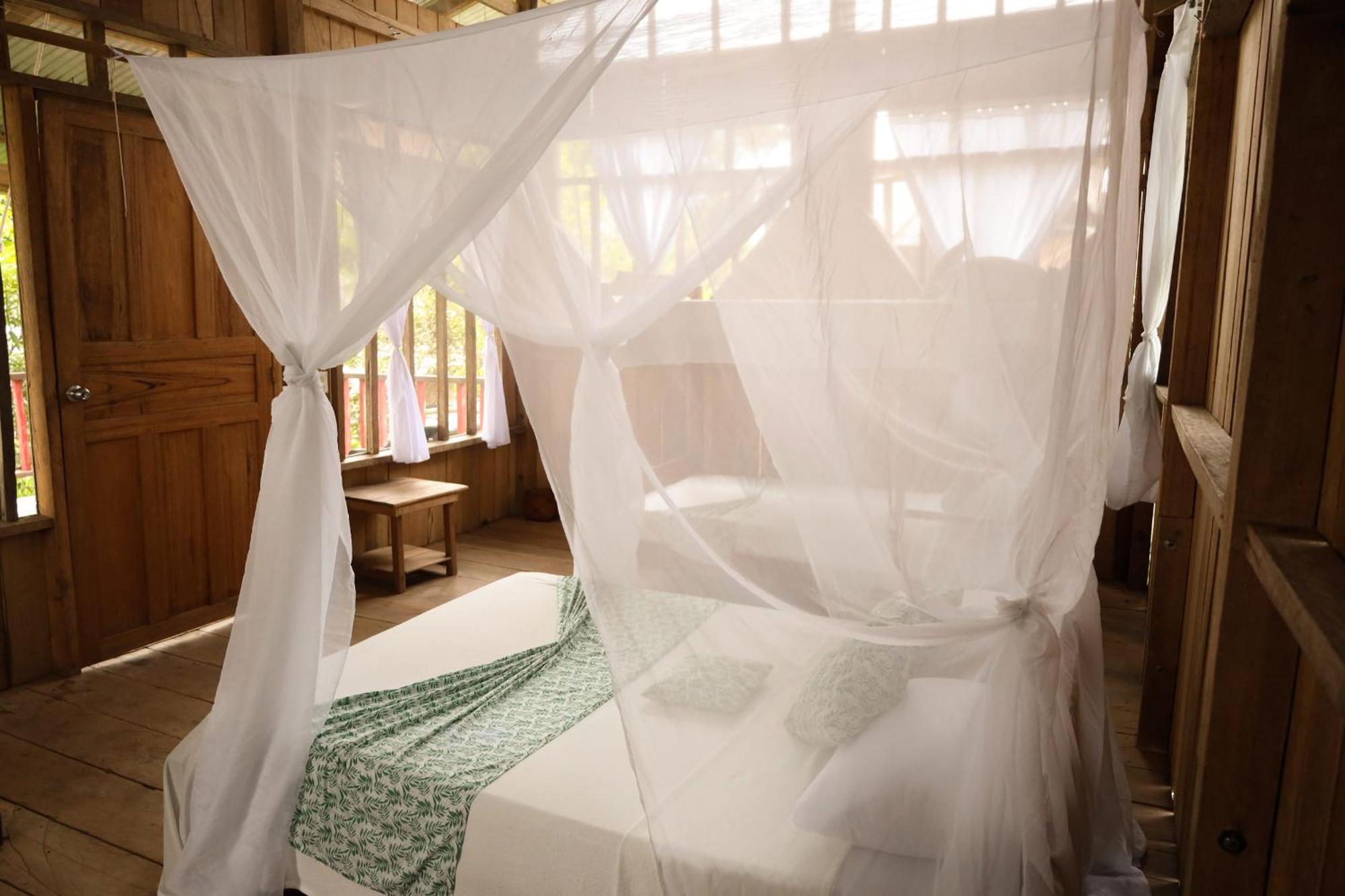 La Ceiba, Amazonas Hotel เลติเซีย ภายนอก รูปภาพ